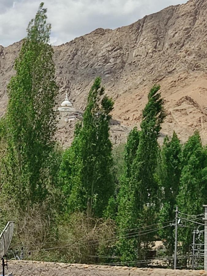 Paradise Leh Residency Exterior photo