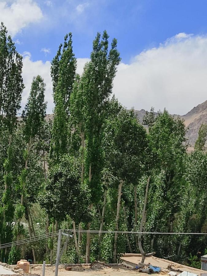 Paradise Leh Residency Exterior photo